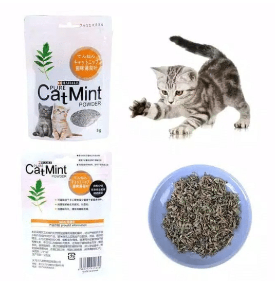 Cat Mint Kucing Powder 5 gr - Chewee.co.id